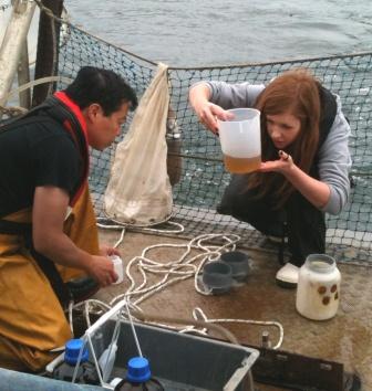 Zooplankton filming